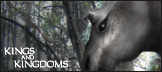 "Pyrons"